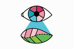 کوررنگی یعنی دنیایی با رنگ‌های متفاوت