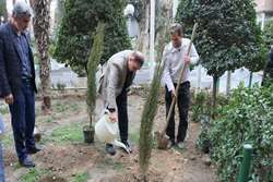 ریشه‌هایی که در خاک بحران جان می‌گیرند؛ کاشت «نهال امید» در بیمارستان فارابی