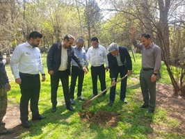 «رویش فردا به یاد قهرمانان»؛ کاشت نهال در بیمارستان فارابی به یاد شهدای جنگ رمضان